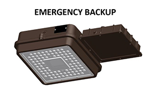 Emergency Backup
